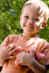 little boy holding apples